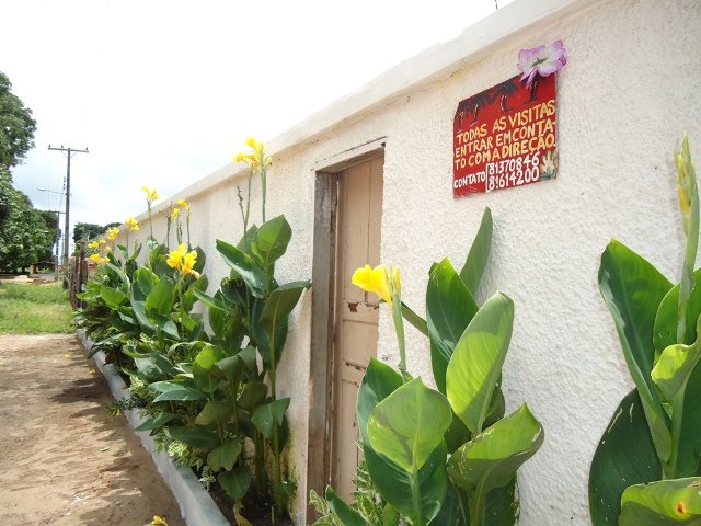 Portfólio