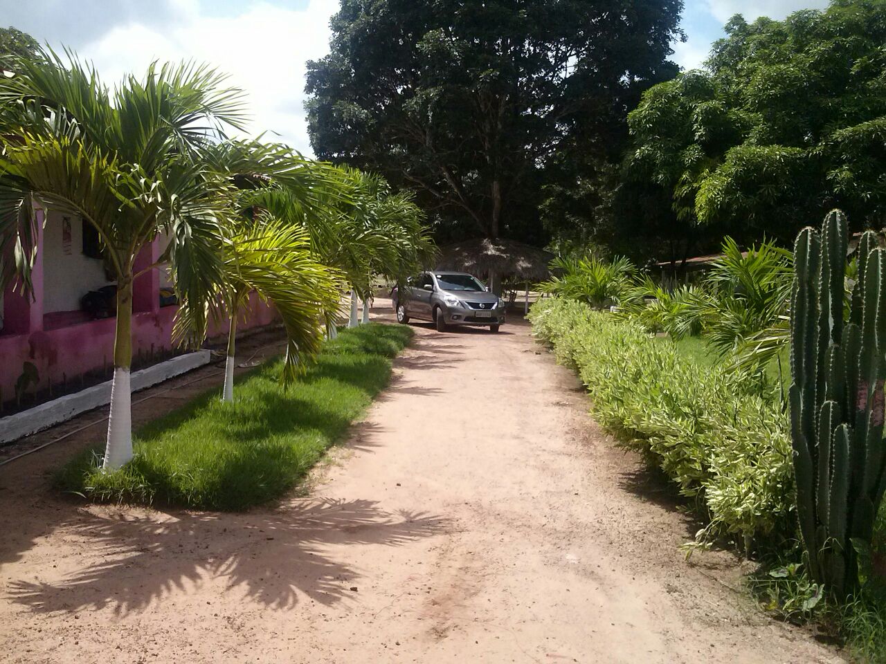 Portfólio