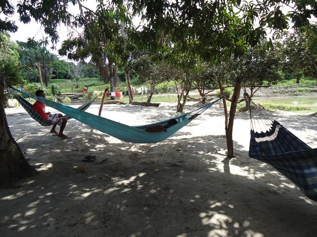 Portfólio