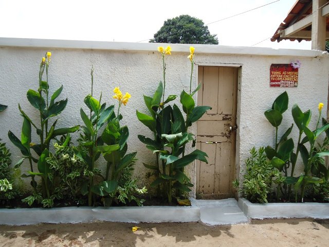 Portfólio