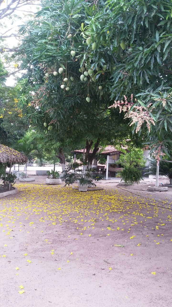 Portfólio