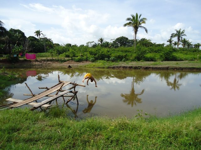 Portfólio