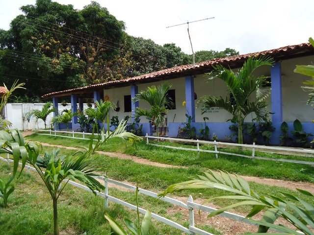 Portfólio