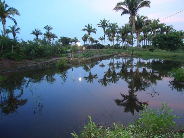 Portfólio
