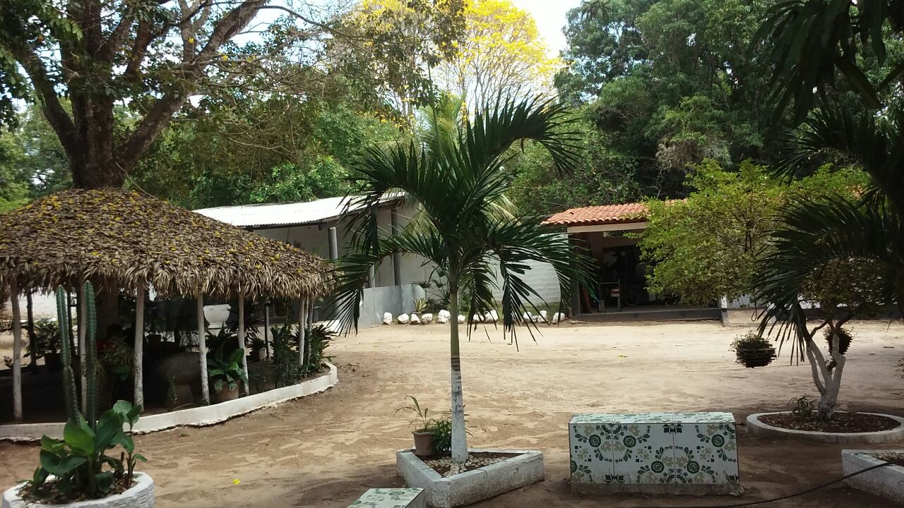 Portfólio