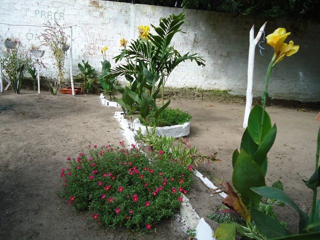 Portfólio