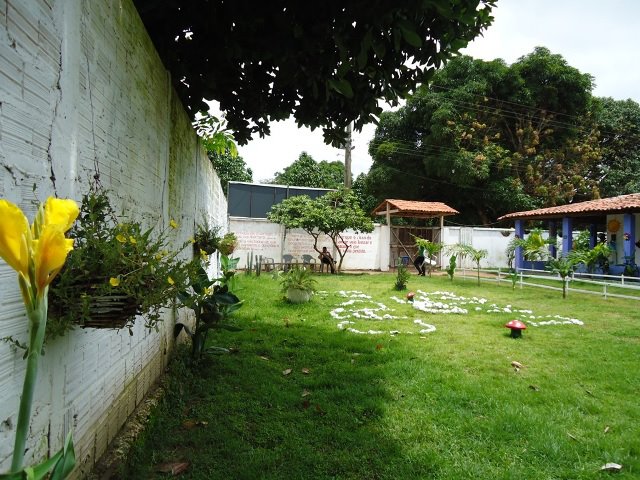 Portfólio