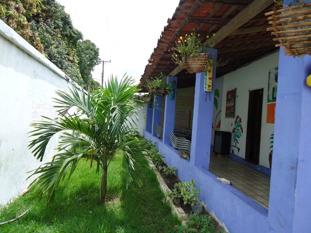 Portfólio