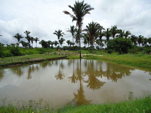 Portfólio
